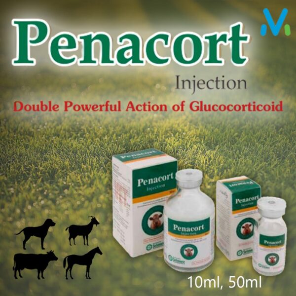 Penacort Injection