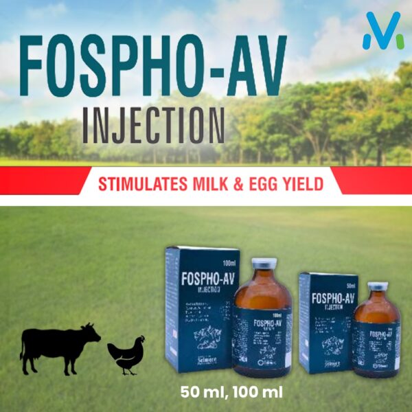 FOSPHO AV INJECTION - Image 2