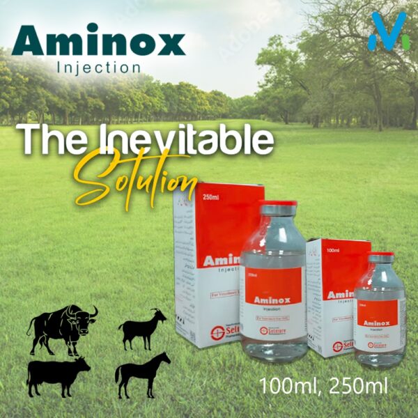 AMINOX INJECTION - Image 2