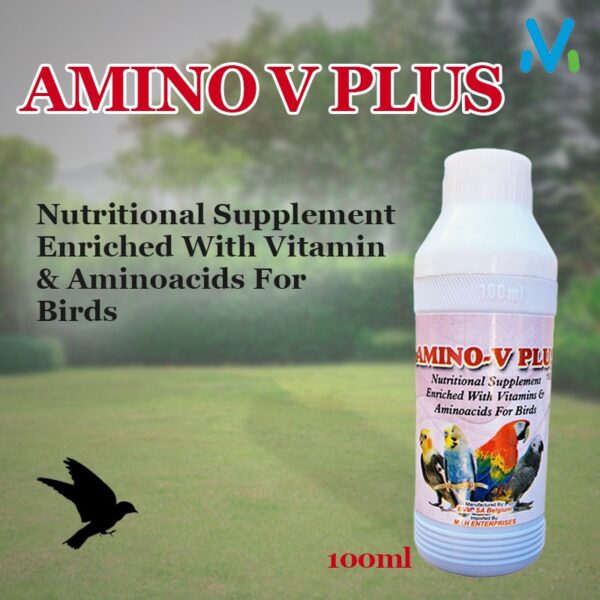 AMINO-V PLUS - Image 2