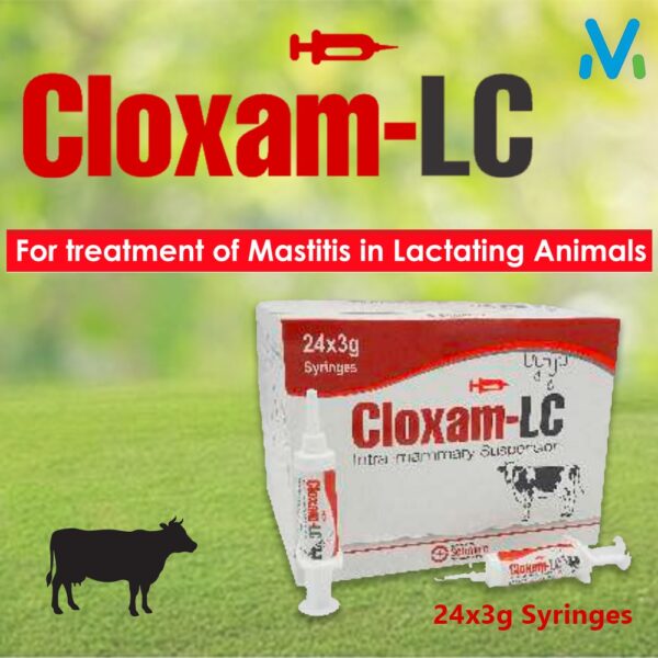 CLOXAM LC IMM - Image 2