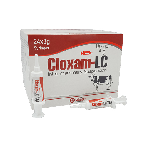 CLOXAM LC IMM