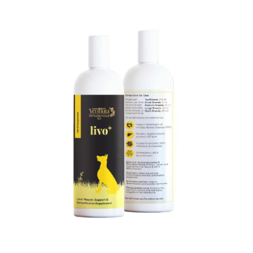 Livo Plus