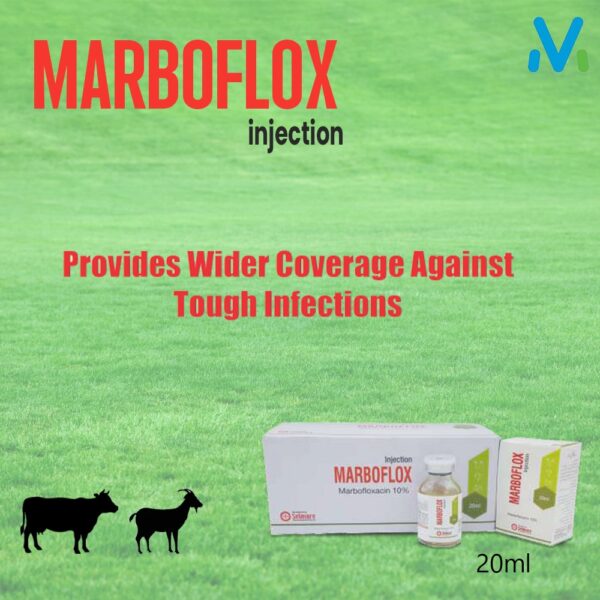 MARBAFLOX INJECTION - Image 2