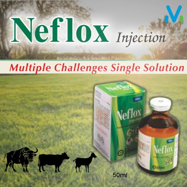 NEFLOX INJECTION - Image 2