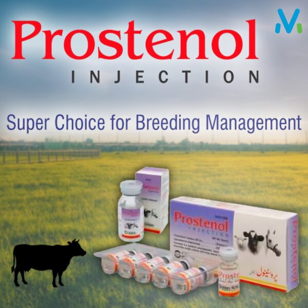 PROSTENOL INJECTION - Image 2