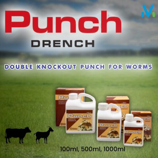 PUNCH DRENCH - Image 2