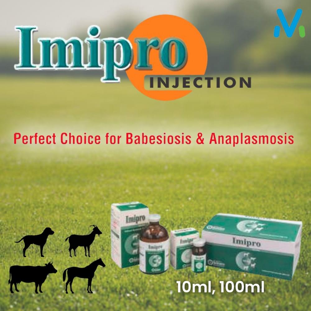 IMIPRO INJECTION - Image 2