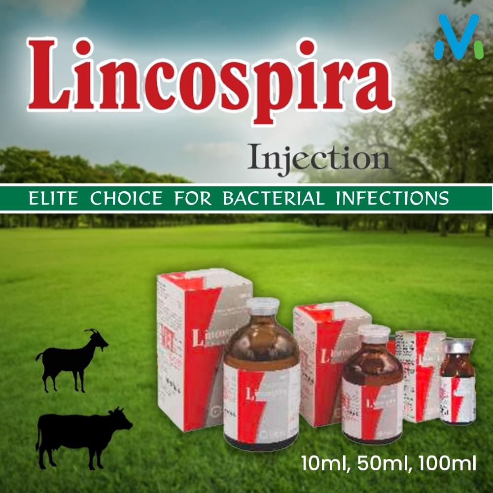 LINCOSPIRA INJECTION - Image 2