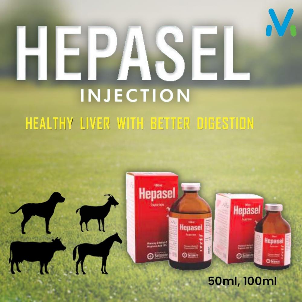 HEPASEL INJECTION - Image 2