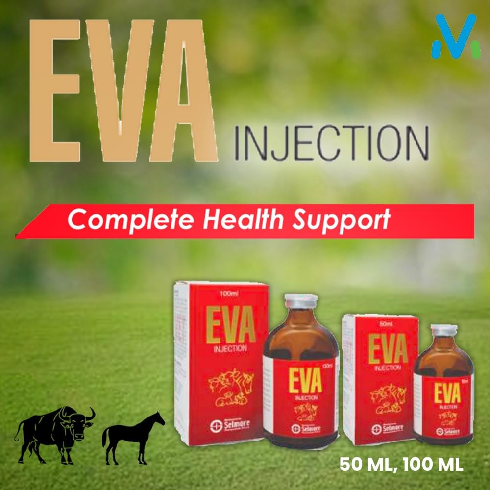 EVA INJECTION - Image 2