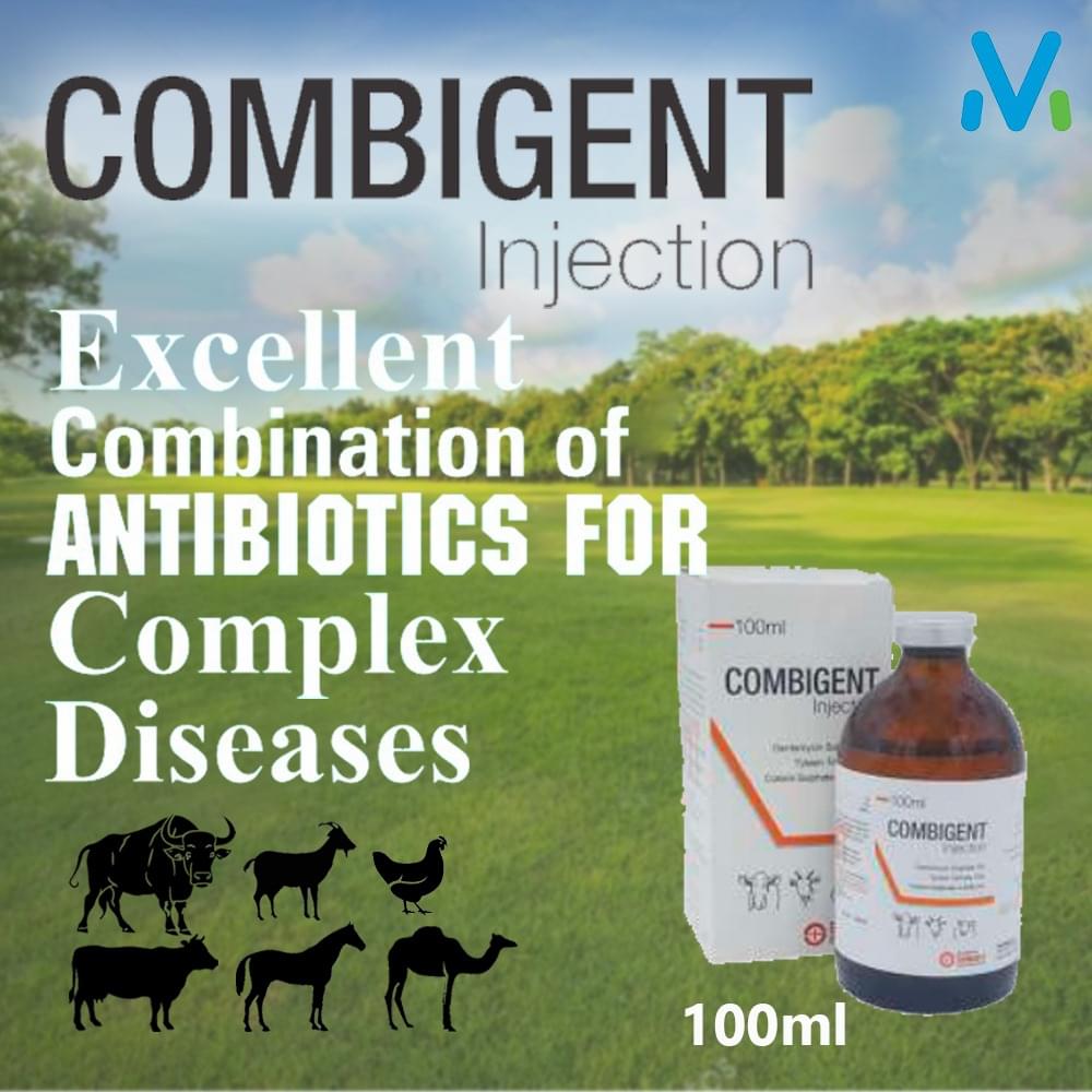 COMBIGENT INJECTION - Image 2
