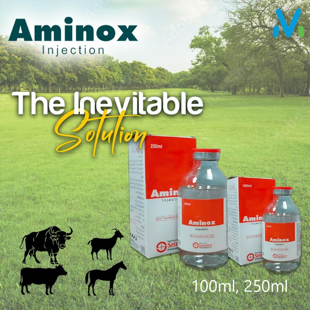 AMINOX INJECTION - Image 2