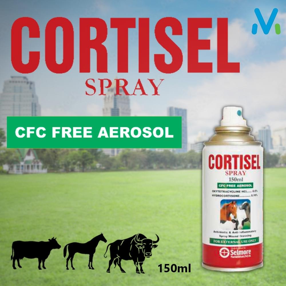 CORTISEL SPRAY - Image 2