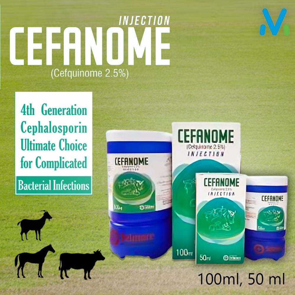 CEFANOME INJECTION - Image 2