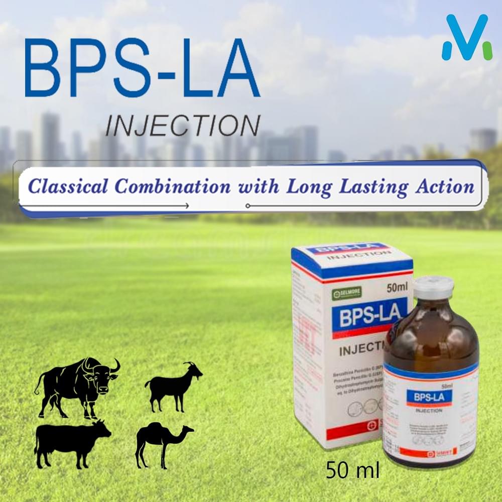 BPS LA INJECTION - Image 2