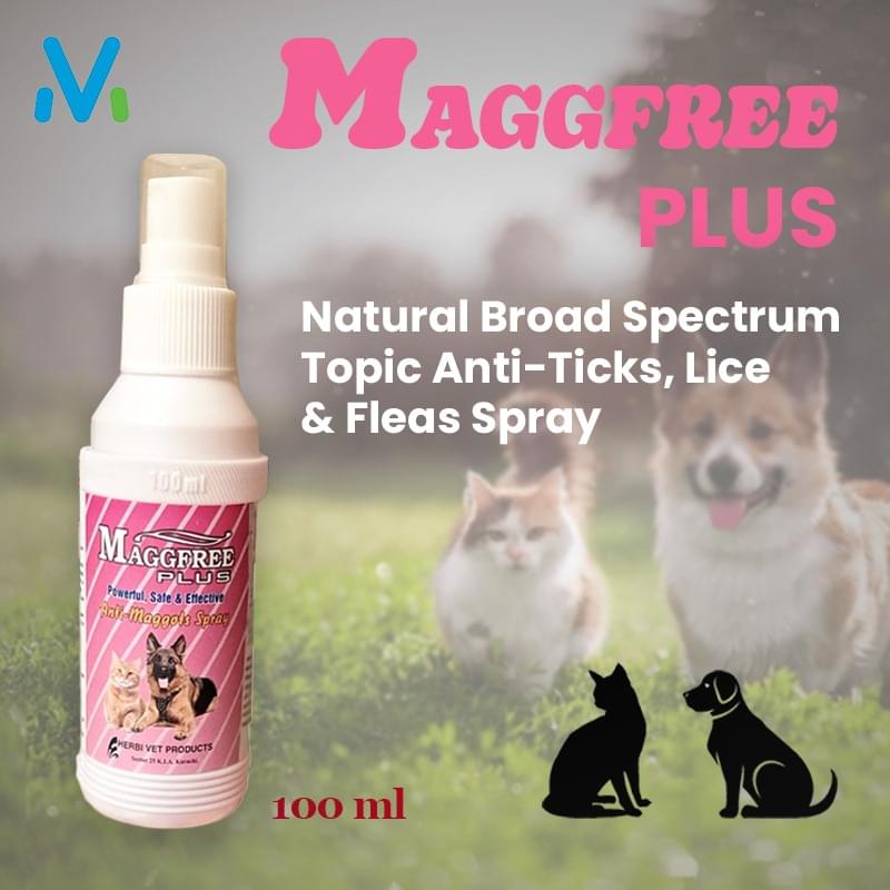 MAGGFREE PLUS SPRAY - Image 2
