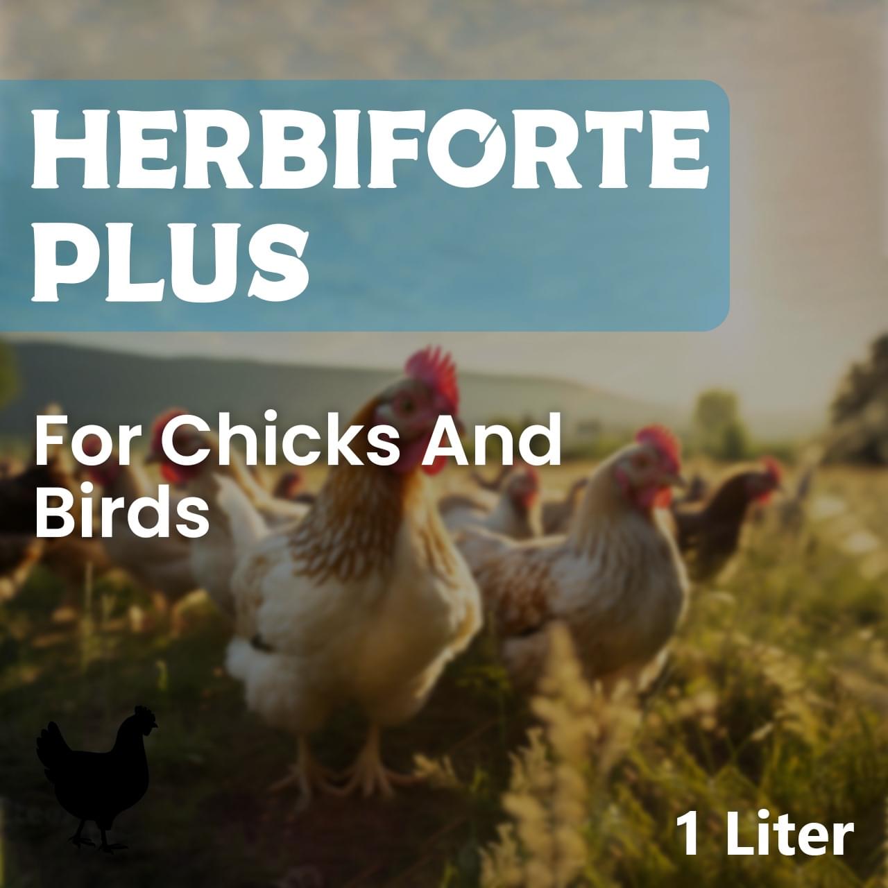 HERBIFORTE PLUS - Image 2