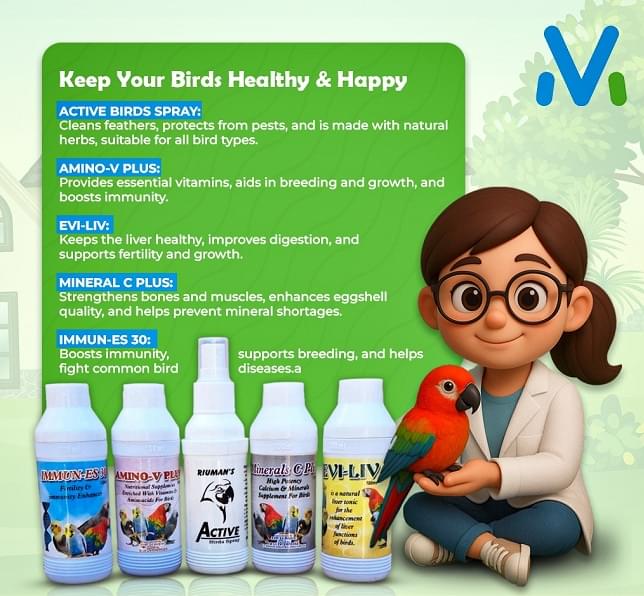 Ultimate Healthy Birds Care Pack (Pack of 5)